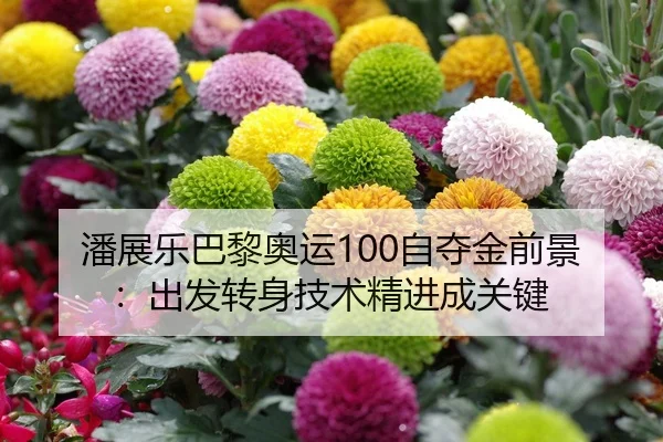 潘展乐巴黎奥运100自夺金前景：出发转身技术精进成关键